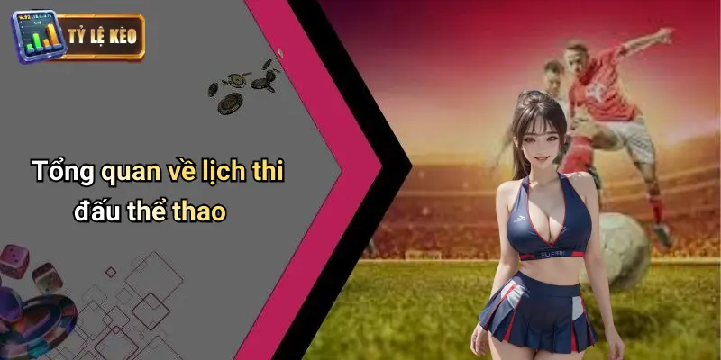 Lịch Thi Đấu