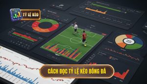 Cách đọc tỷ lệ kèo bóng đá