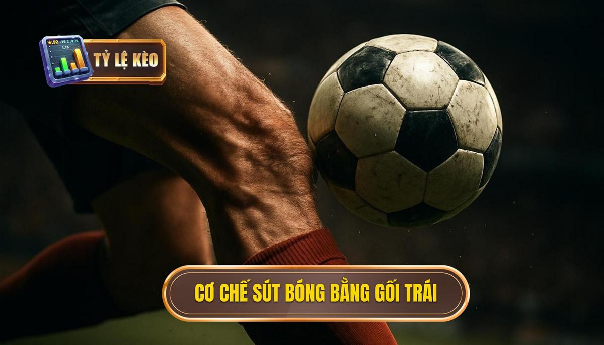 Phân Tích Cơ Chế Hoạt Động Của Kỹ Thuật Sút Bóng Bằng Đầu Gối Trái