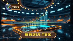 Kèo tài xỉu 3.75 hiệp 2 là gì? Kinh nghiệm đánh bại nhà cái