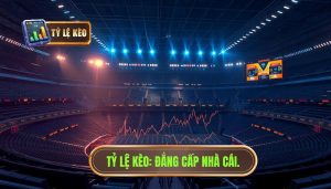 Tỷ lệ kèo phản ánh điều gì trước giờ bóng lăn